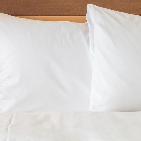 Holiday Inn Express & Suites - Gatineau - Ottawa By Ihg Eksteriør billede